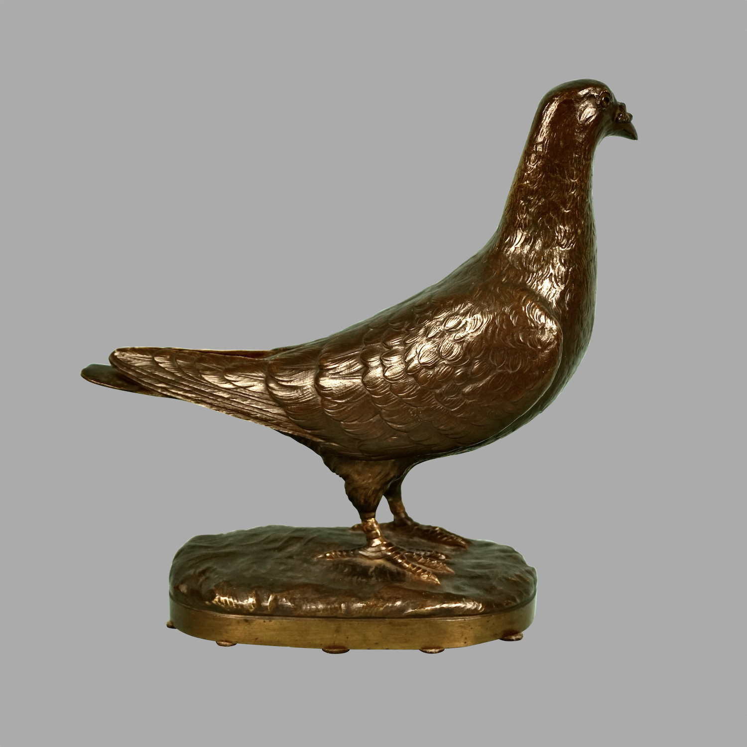 french-bronze-dove-a1022-3