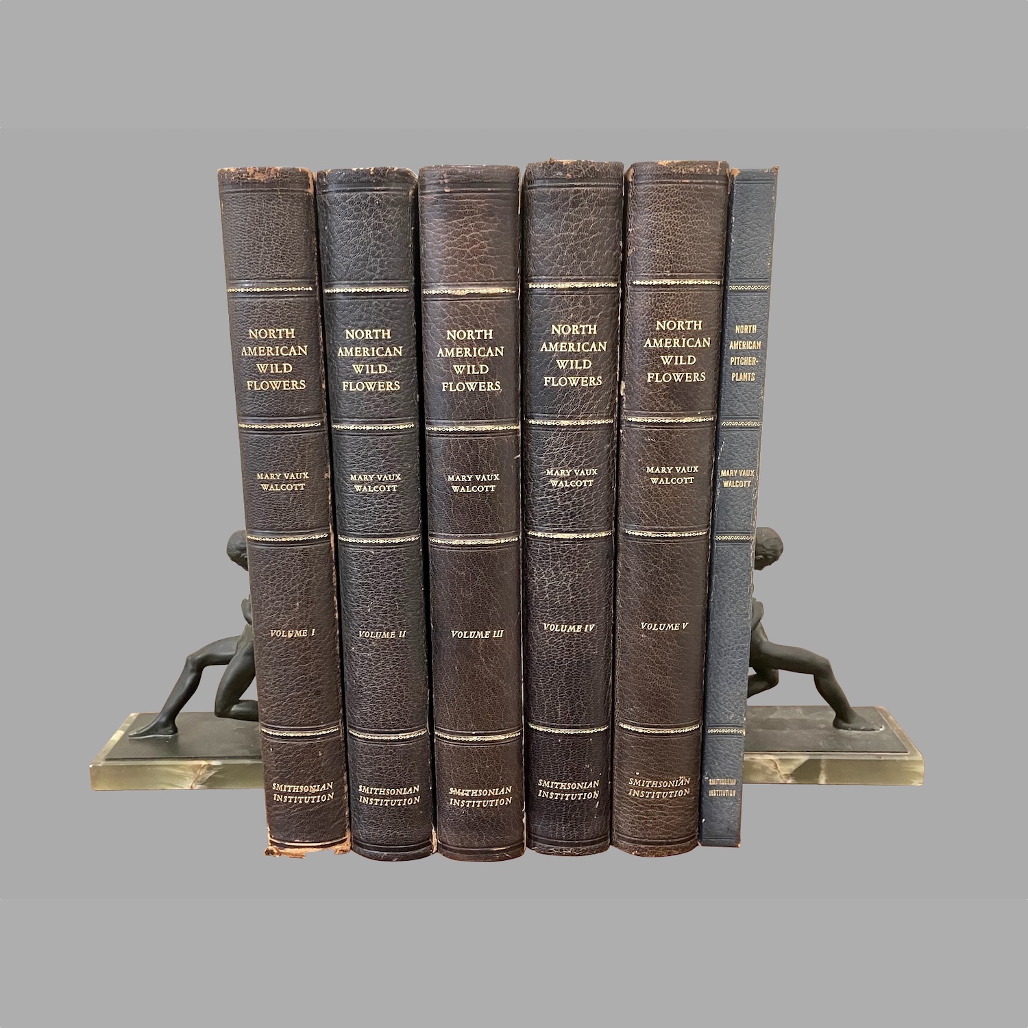 north-american-wild-flowers-mary-vaux-wolcott-6-volumes-limited-edition-rare-b1025-2