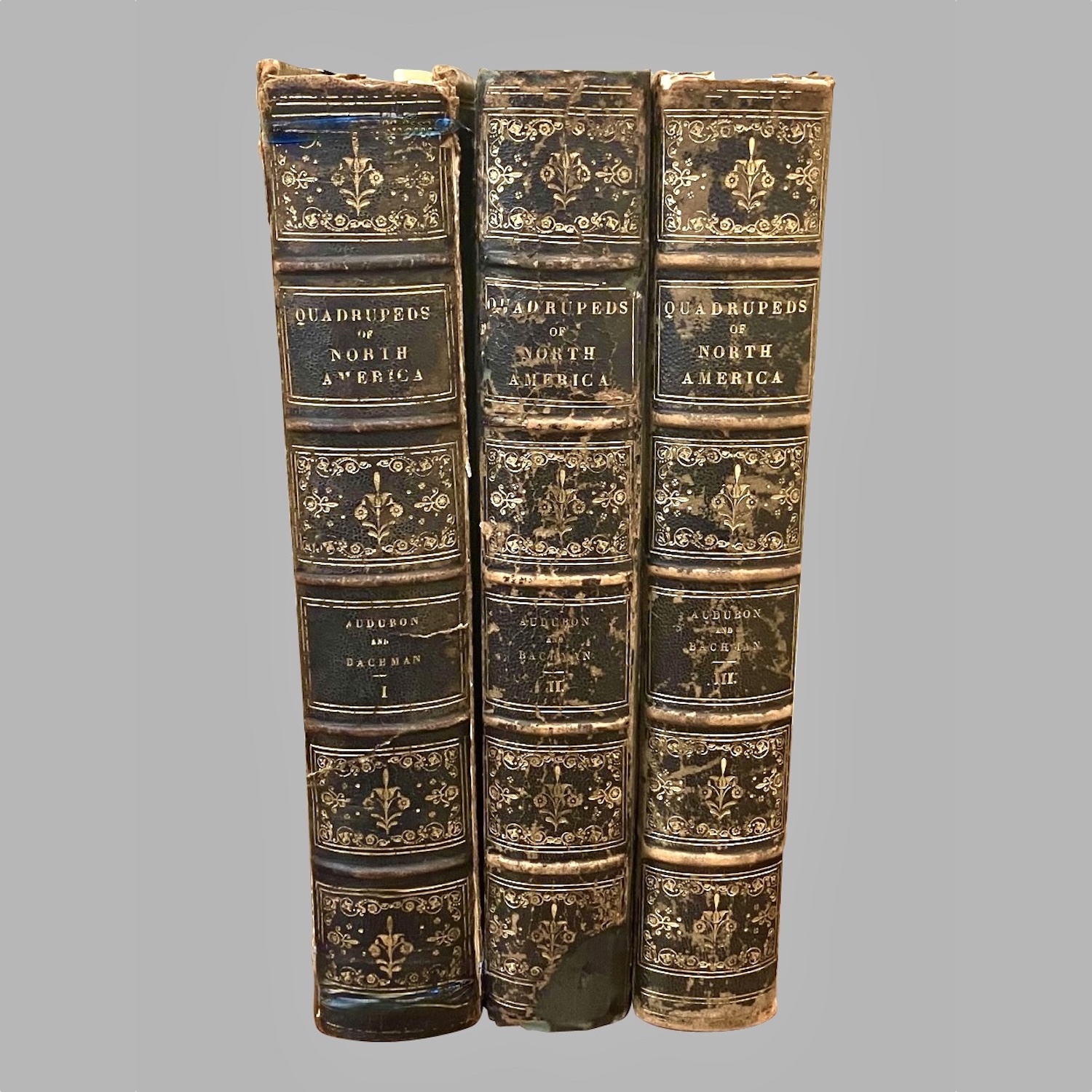 the-quadrupeds-north-america-3-royal-octavo-embossed-leatherbound-volumes-c1021-16